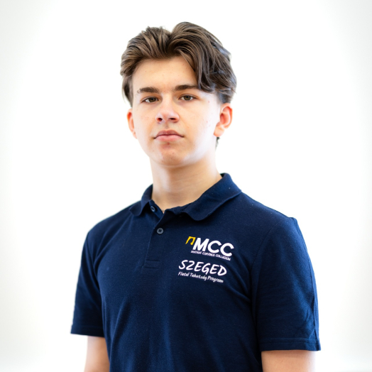 Ficz Balázs